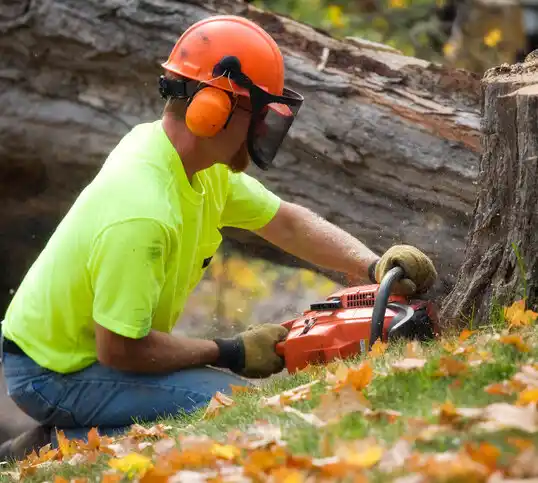 tree services Scarsdale